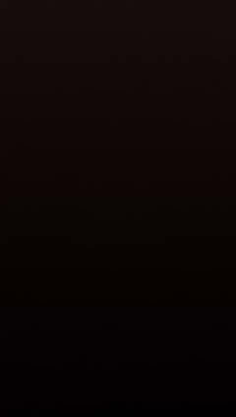 Участие в выставках. Американские булли XL в г. Калининград. Питомник Great Bully UNIVERSE