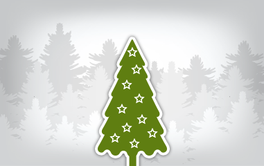 Дизайнер Шульгина Наталья