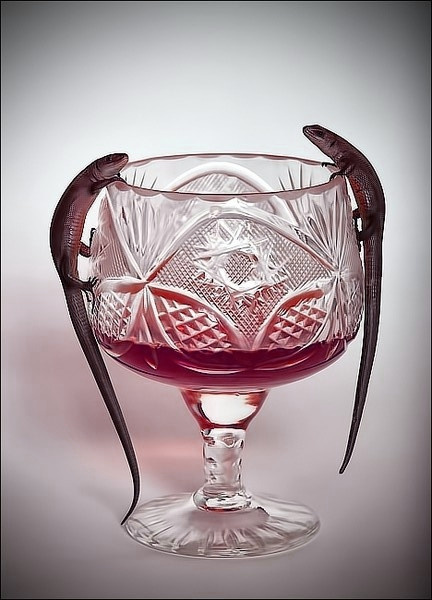 Природа. Матвей Лебедев: фото и видео, сайты. Москва, Жуковский, Малаховка