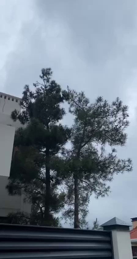 Заборы-жалюзи. Производство и монтаж