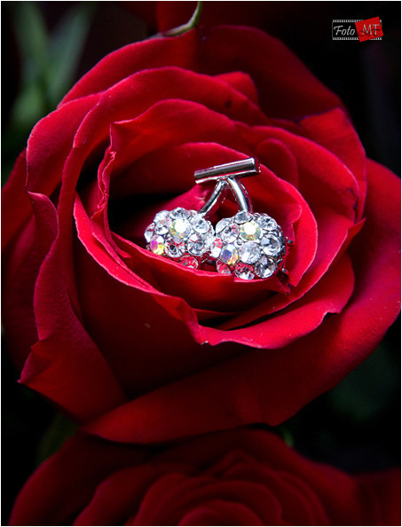 Предметная съемка. Фотограф в Москве Татьяна Макотра