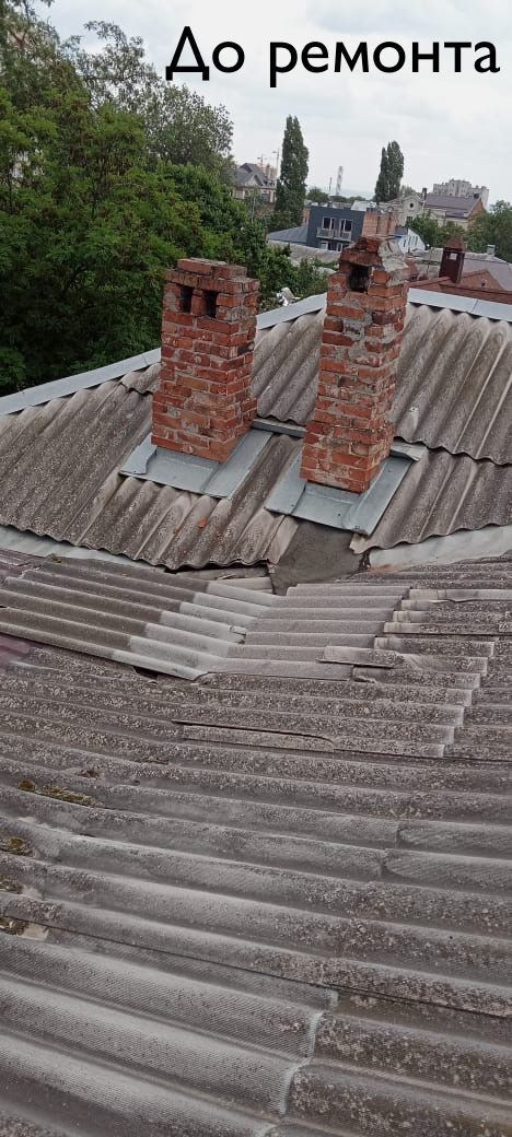 Ростовская обл., г. Ростов-на-Дону, ул. 12-я линия, д. 29. СК Цербер