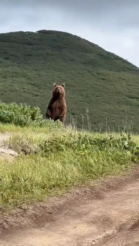 Озеро Толмачева и термальные источники. Экскурсионные туры по Камчатке