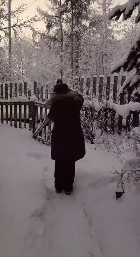 Авторские литературные портреты, фотоистории