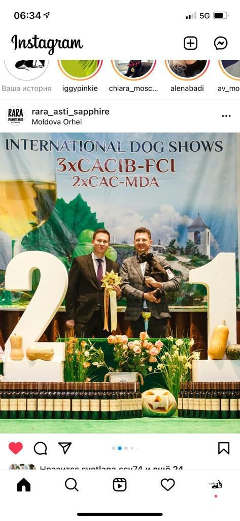 Черный бриллиант. Профессиональный питомник левреток РКФ/FCI ASTI SAPPHIRE 💎 Сочи|Санкт-Петербург