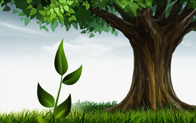 Дизайнер Шульгина Наталья