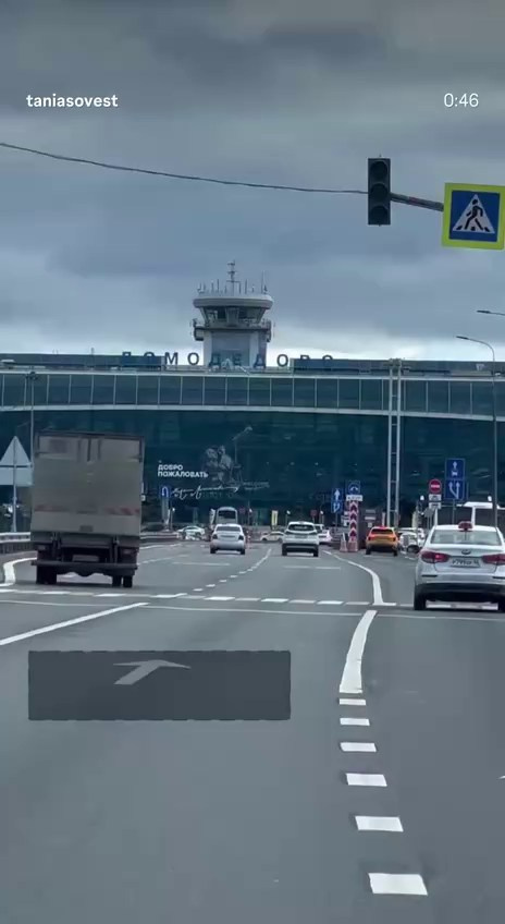 Hunter&Queenie, 13.01.25. Американские булли XL в г. Калининград. Питомник Great Bully UNIVERSE