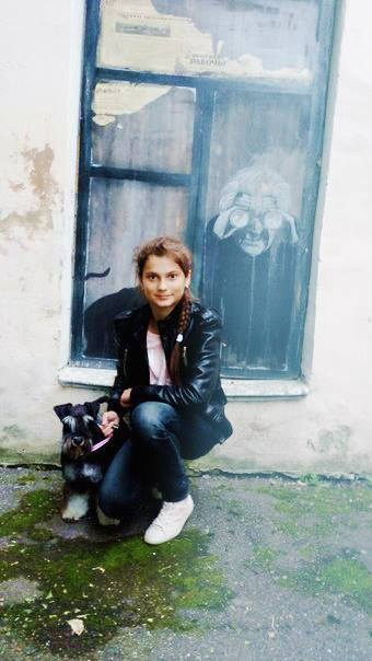 Леля/Asson Ari Unara Valeri. Питомник цвергшнауцеров в Беларуси «Делинсо Бэлэнс»