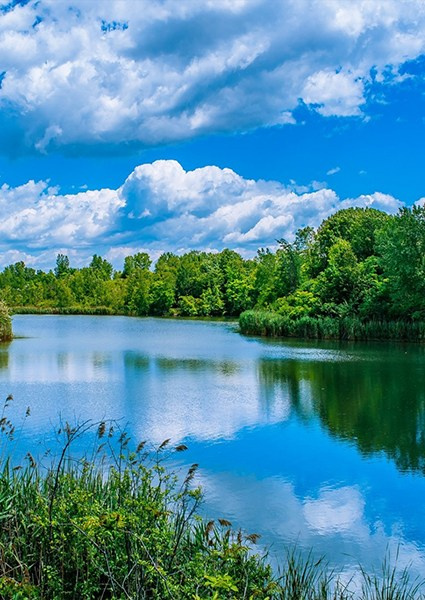 Каталог продукции. Https://lifefotonn.ru/