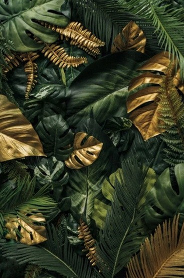 Фоны для фотосессий (в наличии). Фотограф Москва и Сергиев Посад Ирина Ермакова