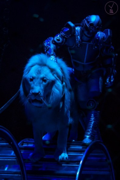 К.У.К.Л.А. Магия музыки в кадре: Концертная Фотография