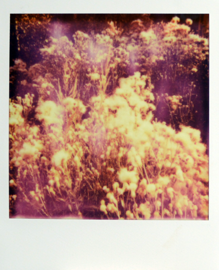 МАРИЯ КОКУНОВА