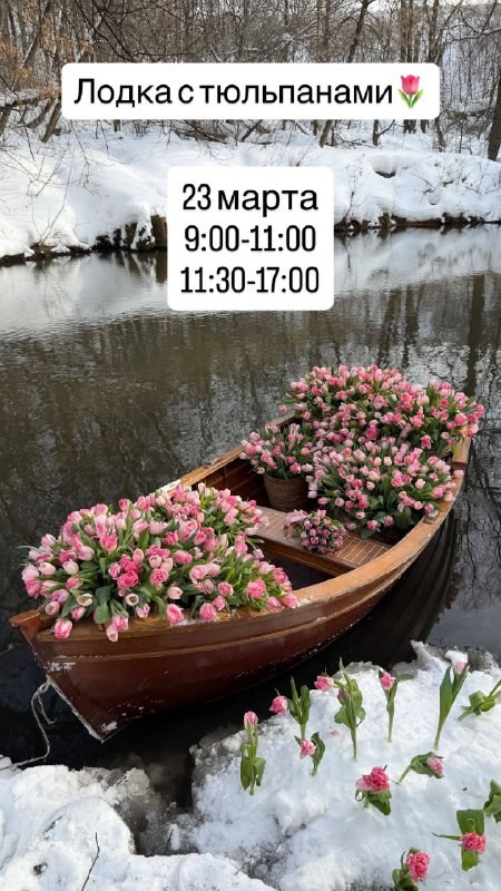 Детский, семейный и свадебный фотограф в Москве Екатерина Морозова