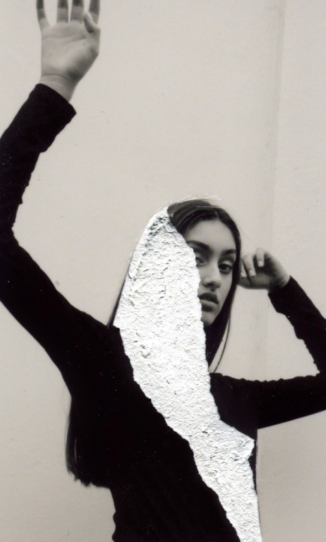 Урок «Гербарий» Пакет