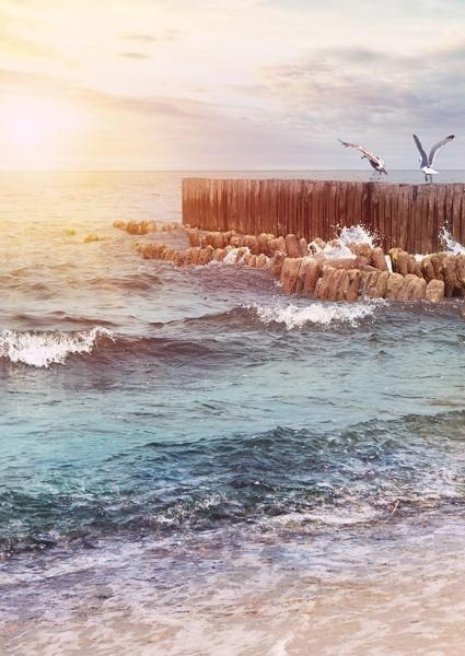 Каталог продукции. Https://lifefotonn.ru/