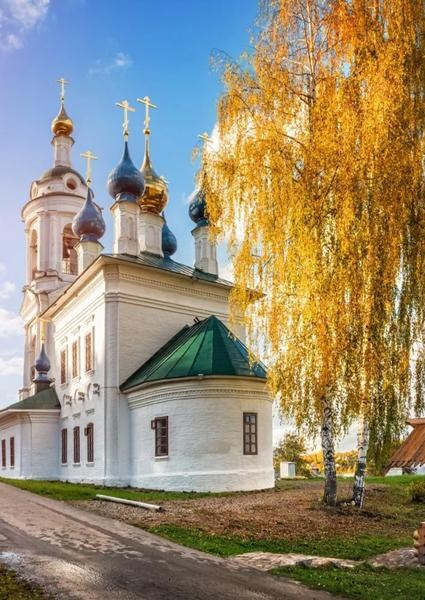 Варианты фонов. Https://lifefotonn.ru/