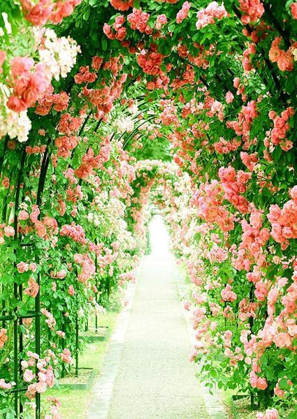 Каталог продукции. Https://lifefotonn.ru/