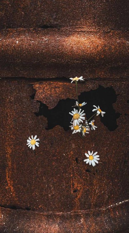 Клуб «ТВОРИ». Фотограф Светлана Анисимова обучение фото видео рилс