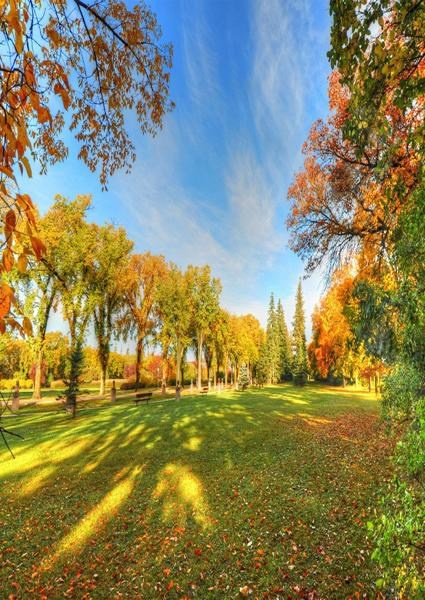 Каталог продукции. Https://lifefotonn.ru/