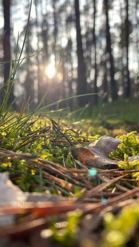 Добро пожаловать в Кемпинг — уникальное место для отдыха на лоне природы!