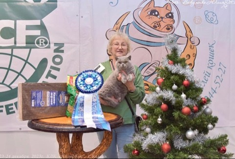 Enigma. Mauna Gastonia