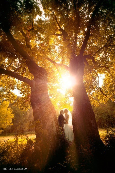 Отзывы клиентов. Профессиональный свадебный фотограф в Минске Антон Кузнецов