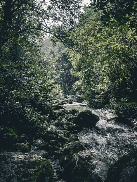 Абхазия. Maks Mironov