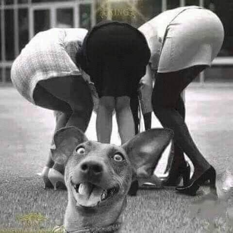 Мемы. Фотограф для маркетплейсов Михаил Бове