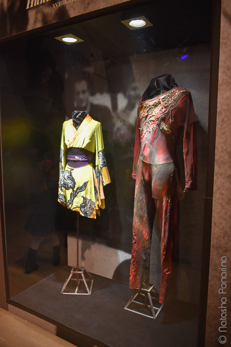 Выставка Искусство на льду 20/12/2017. Russian figure skating photographer from Saint-Petersburg