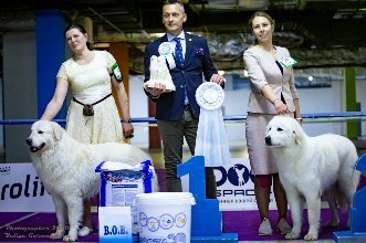 Монопородные выставки. Фотограф-анималист Юлия Германика