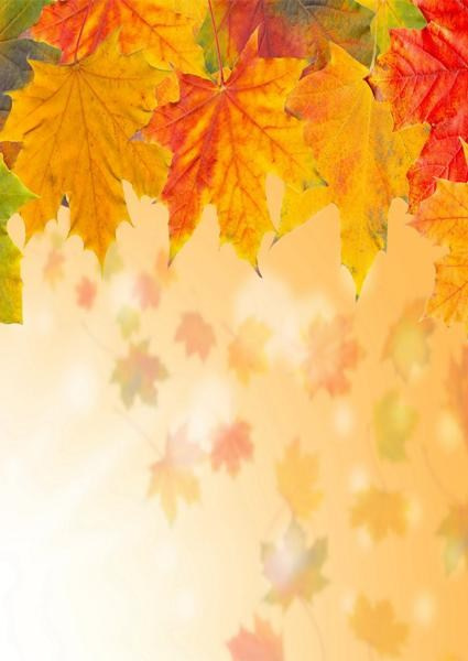 Каталог продукции. Https://lifefotonn.ru/