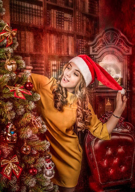 Новый год. Фотограф в Красноярске. Портреты, семья, прогулки по городу и ваши праздники