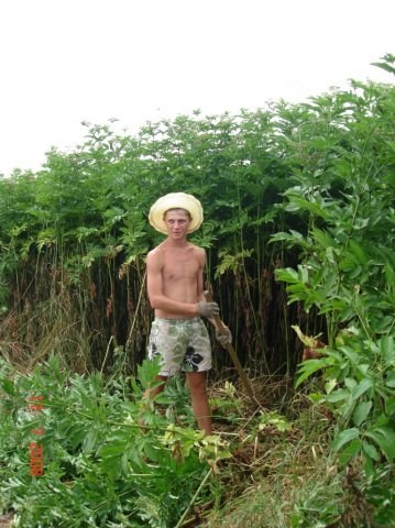 Обучение горным лыжам. Забронировать обучение. Инструкторы по горным лыжам и сноуборду Сочи Красная Поляна. Горнолыжная школа