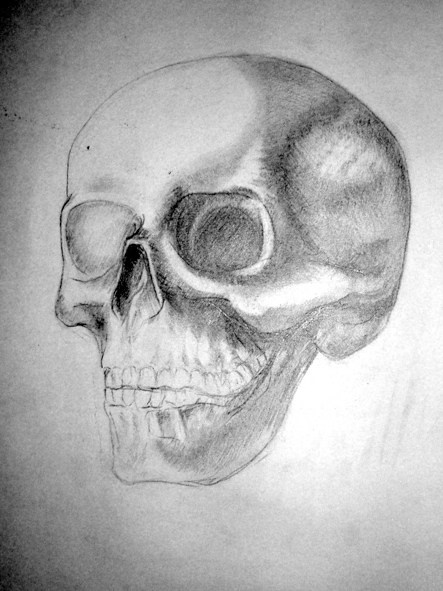ART. MoshaDesign