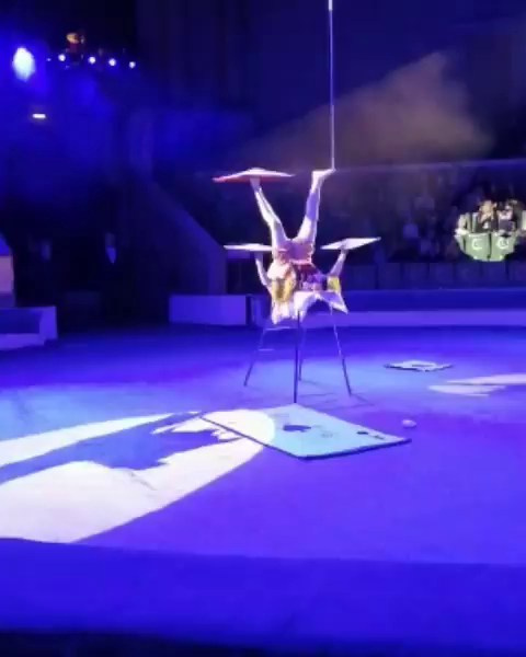 🎪 Огромное спасибо за волшебство, @circusrnd! 🌟