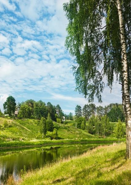 Каталог продукции. Https://lifefotonn.ru/