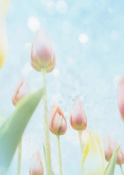 Каталог продукции. Https://lifefotonn.ru/