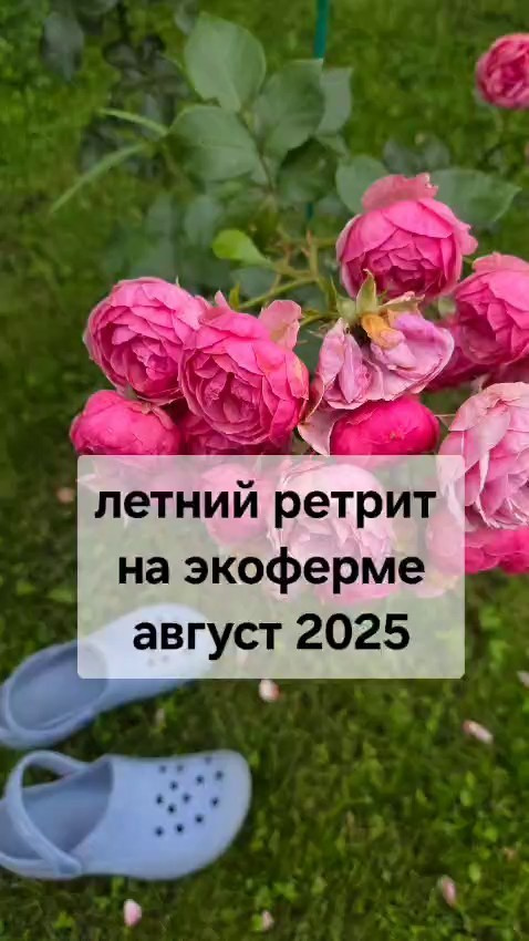 Мероприятия эко отеля в Подмосковье. Эко отдых в Подмосковье в эко-отеле Марии Гиппенрейтер