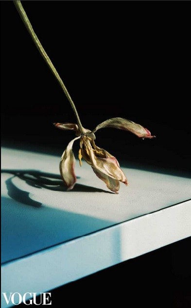 Изобразительное Искусство. Художественный фотограф. Фотосессии, Обучение, Ревью