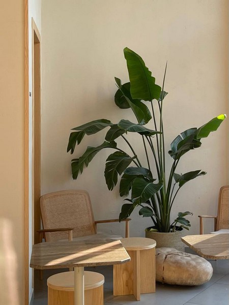 Фотосессия в кафе Москвы — уютный интерьер и атмосфера