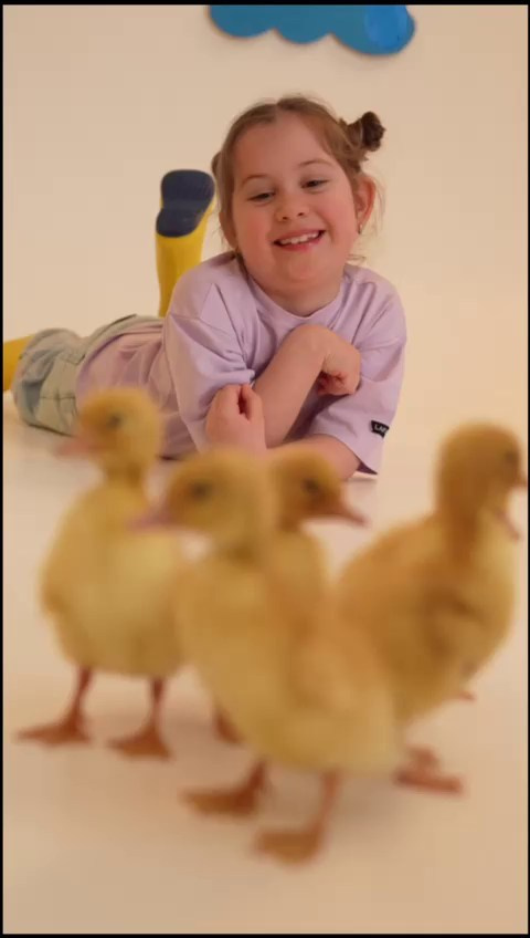 Видео. Content Studio фотостудия