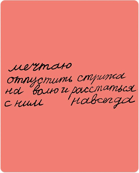 Portfolio. KST