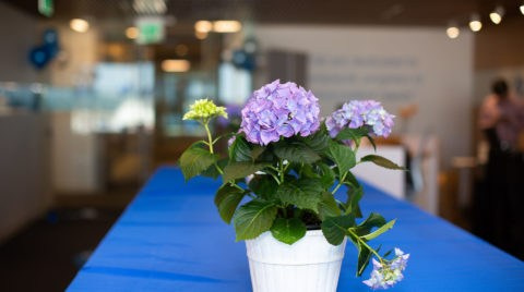 Фотосессия делового мероприятия в Москве. Фотосессия в студии в Москве от профессионального фотографа услуги по доступным ценам