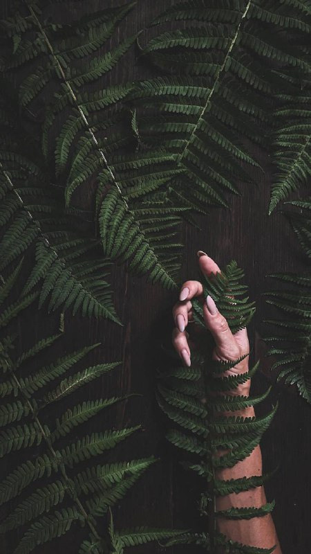 Интенсив «ТВОРИ ОСЕНЬ». Фотограф Светлана Анисимова обучение фото видео рилс