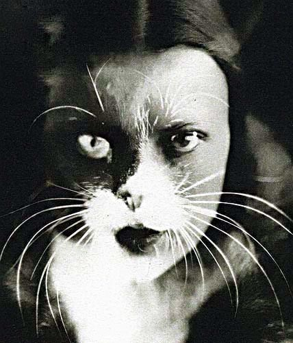 Ванда Вульц (1903–1984) — итальянская фотограф‑экспериментатор, представительница футуристического движения в фотографии. «Я + кошка», 1932. Эта композиция — визитная карточка Ванды Вульц