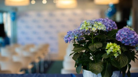 Фотосессия делового мероприятия в Москве. Фотосессия в студии в Москве от профессионального фотографа услуги по доступным ценам