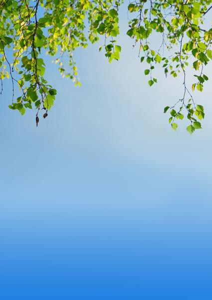 Каталог продукции. Https://lifefotonn.ru/