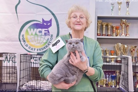 Enigma. Mauna Gastonia