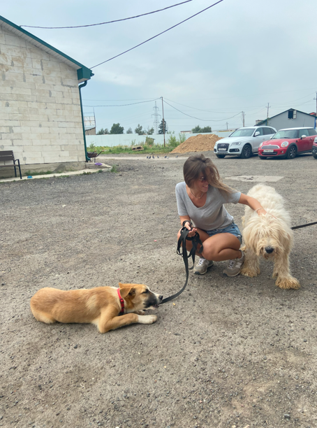 Автор: Екатерина Тимофеенко