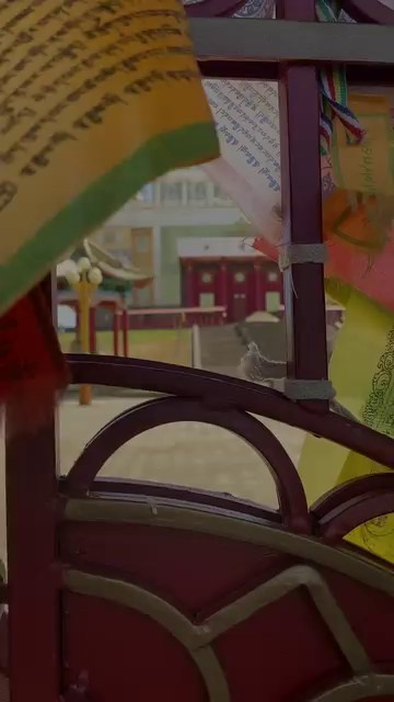 Видеопрактика для фотографов и мам — 01.07.2026. Фотограф и видеограф Елена Лисина